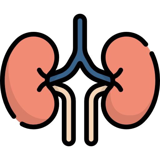 medico nefrologo en iztapalapa